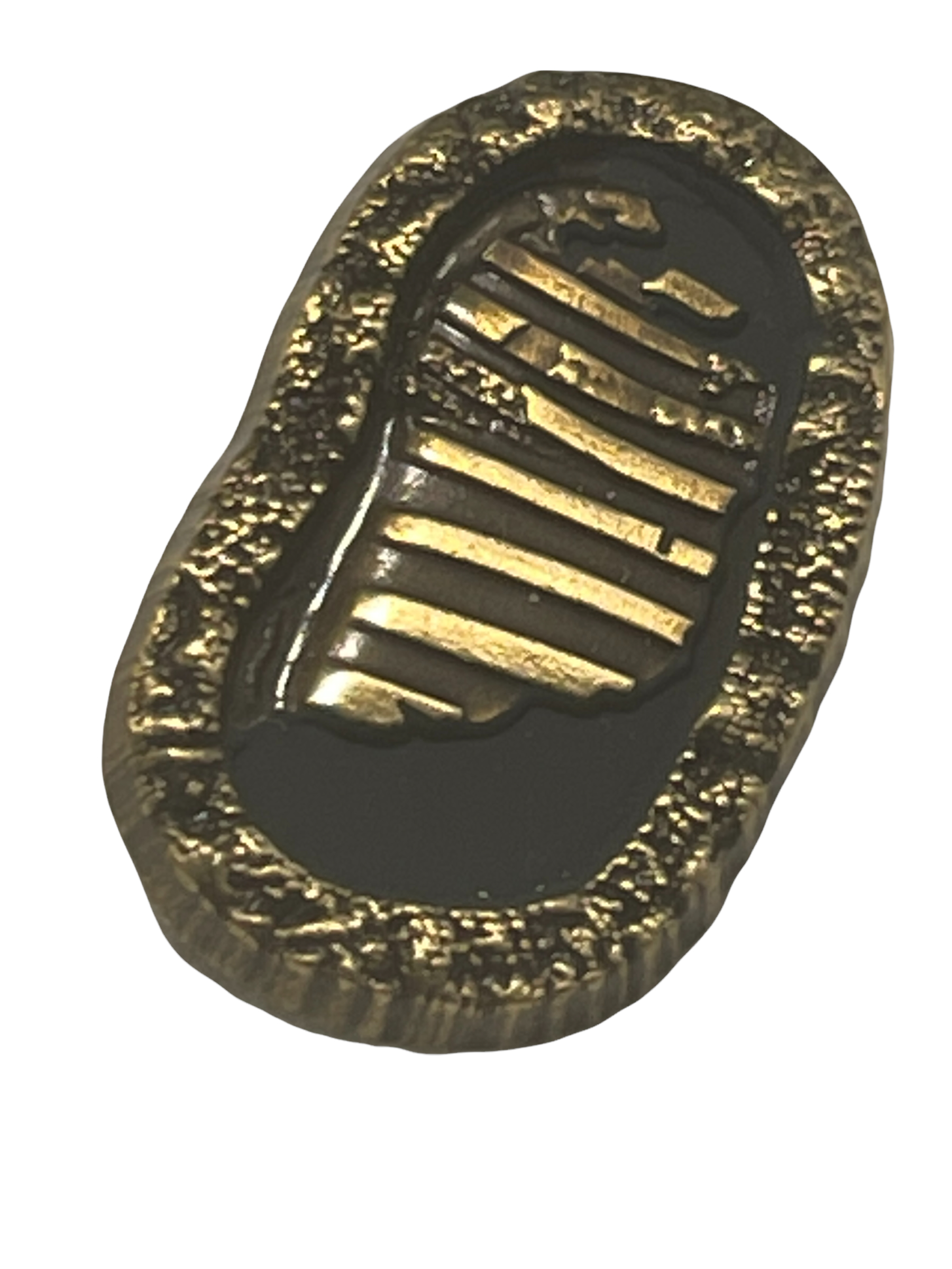 Official NASA Apollo Edition First Footprints Pin Badge With Moon Flown Metal Latest New Aged Bro