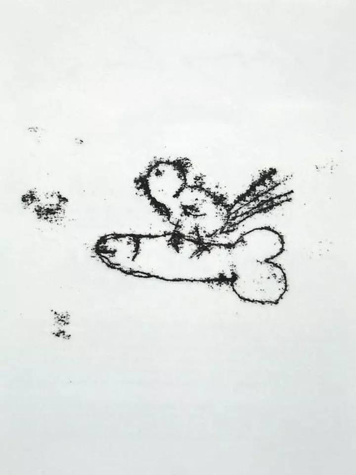 Tracey Emin (b1963)'Singing Bird' (For The Venice Biennale), Original 10 x 8cm Limited Edition, 2007