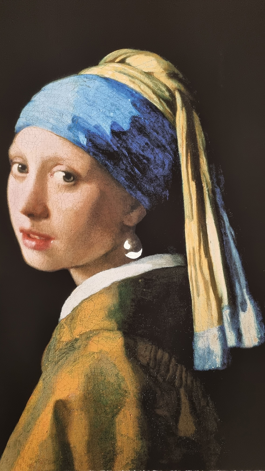 Johannes Vermeer 'Girl with a Pearl Earring' Platinum Leaf Rare