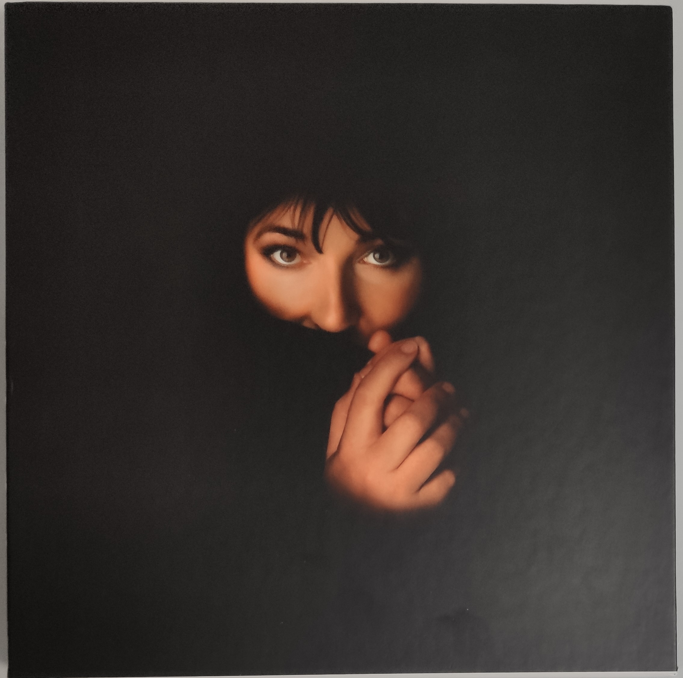 Kate Bush remastered in vinyl box set. Near mint condition.