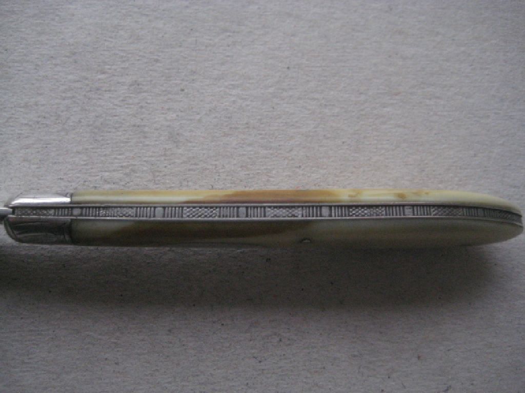Rare Victorian Silver Bladed Folding Fruit Knife, Sheffield 1882