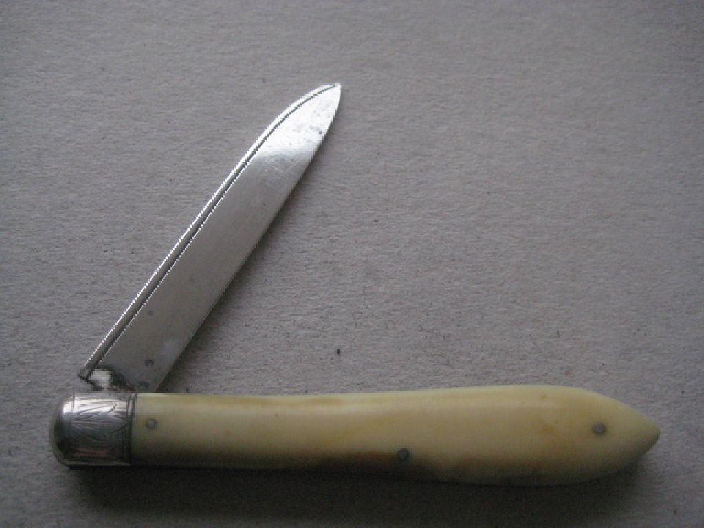 Rare Victorian Silver Bladed Folding Fruit Knife, Sheffield 1882