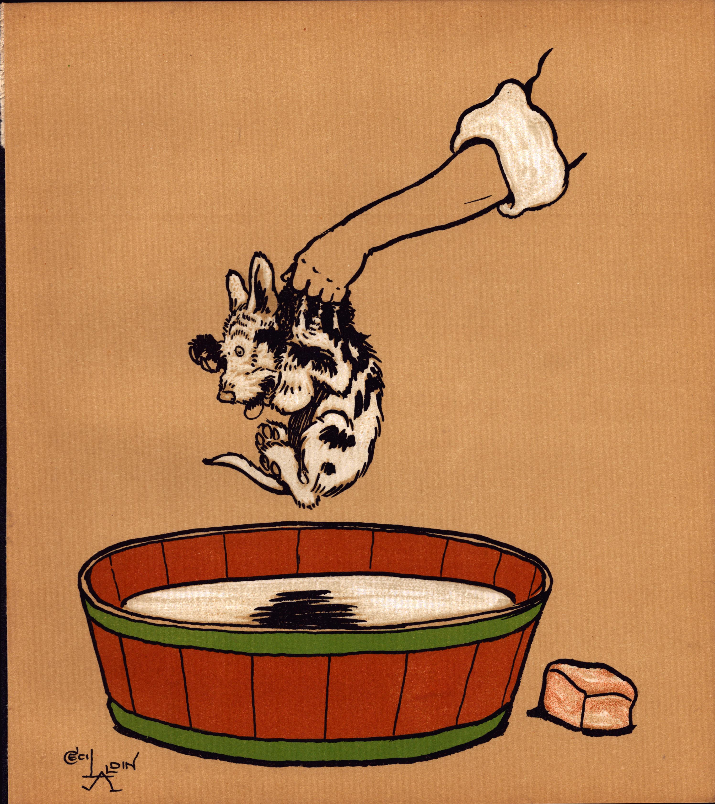 Cecil Aldin  “Rough & Tumble” Scotch Terriers Antique Colour Illustration-9.