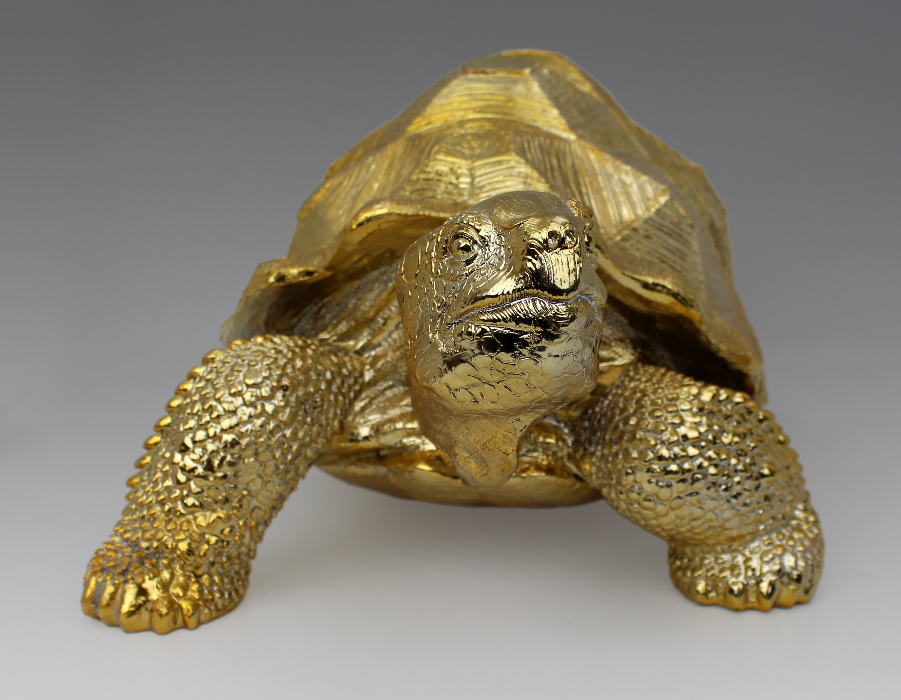 Gold Leaf Tortoise Model