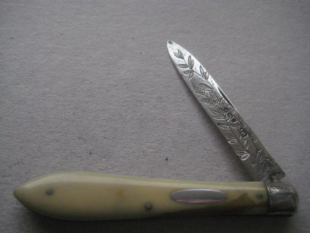 Rare Victorian Silver Bladed Folding Fruit Knife, Sheffield 1882
