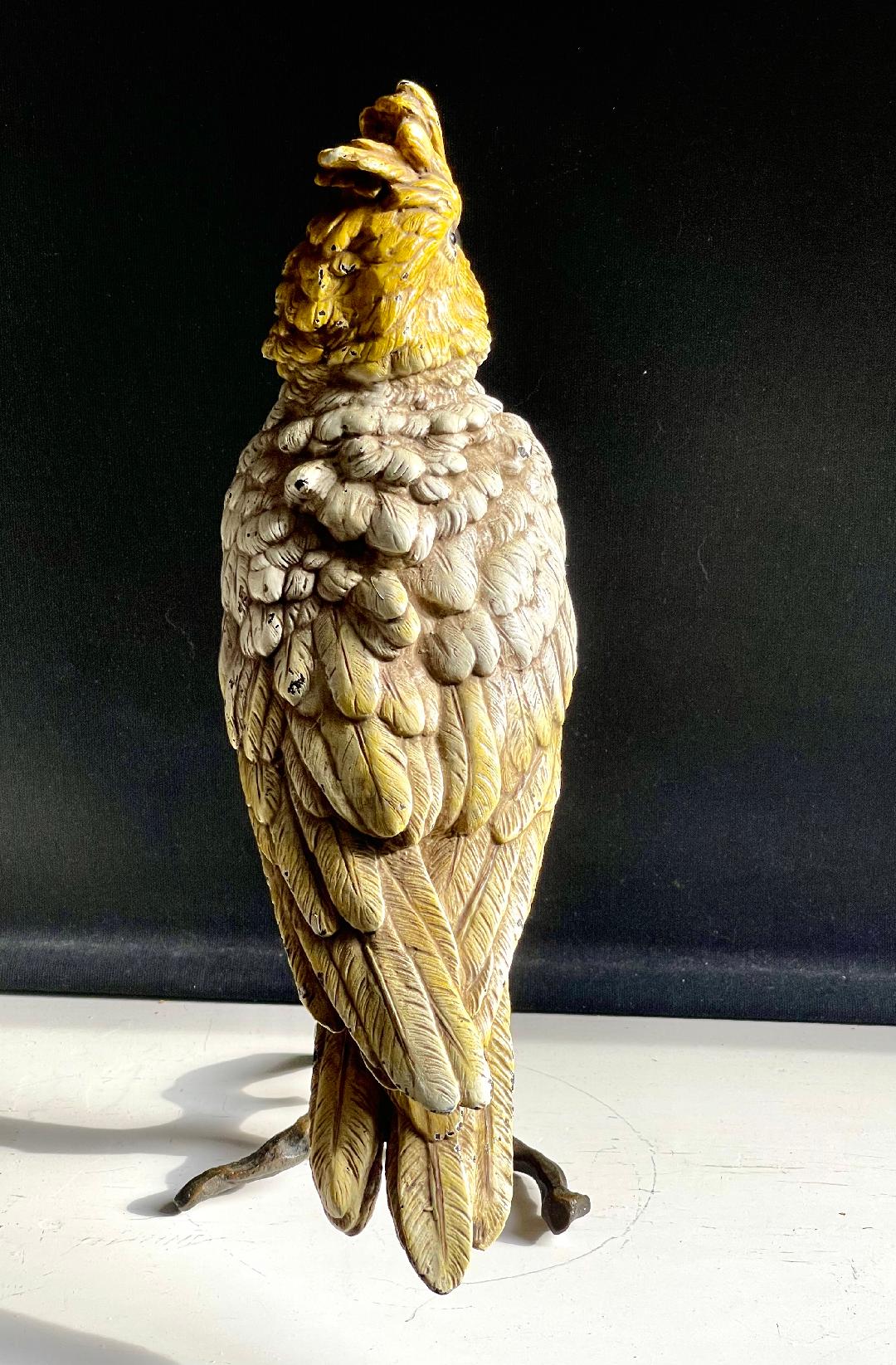 Cold Painted Bronze Bergman Fogure of a Cockatoo