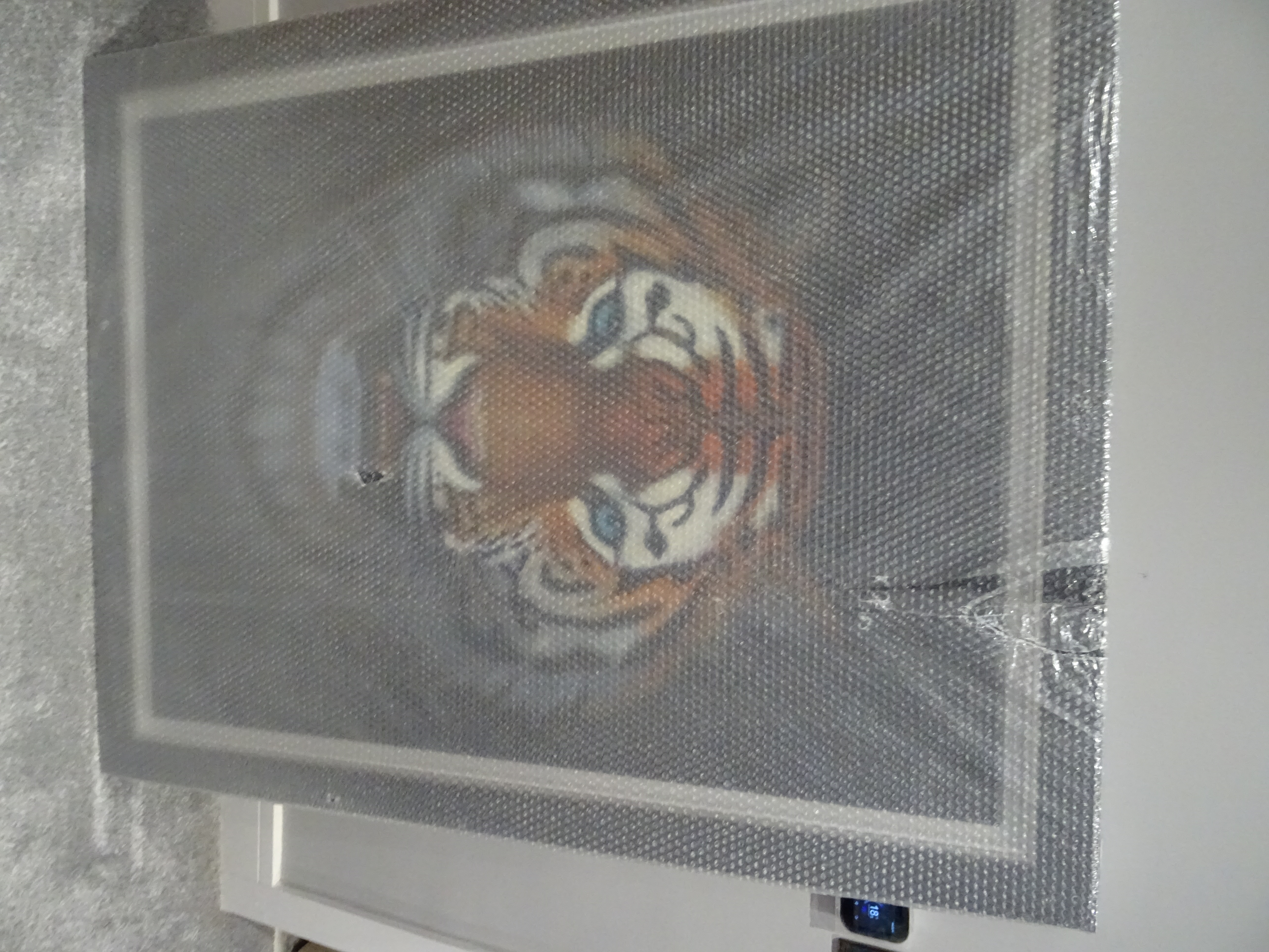 Tigre/Oil painting