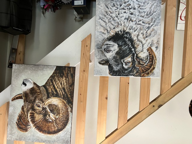 2 Ram Oil Paintings On Canvas. Artist Is Miranda Assink