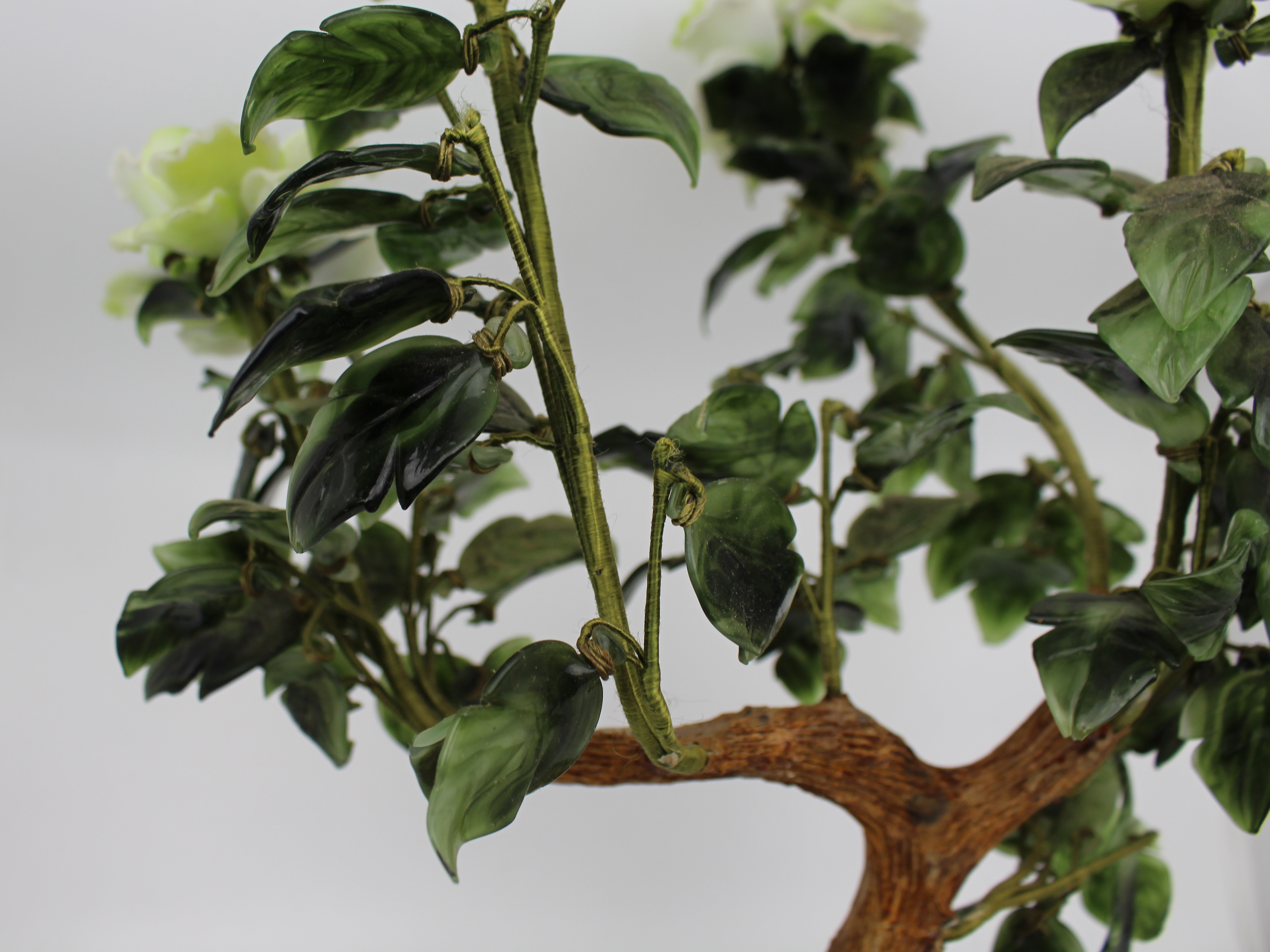 Jade Bonsai Plant