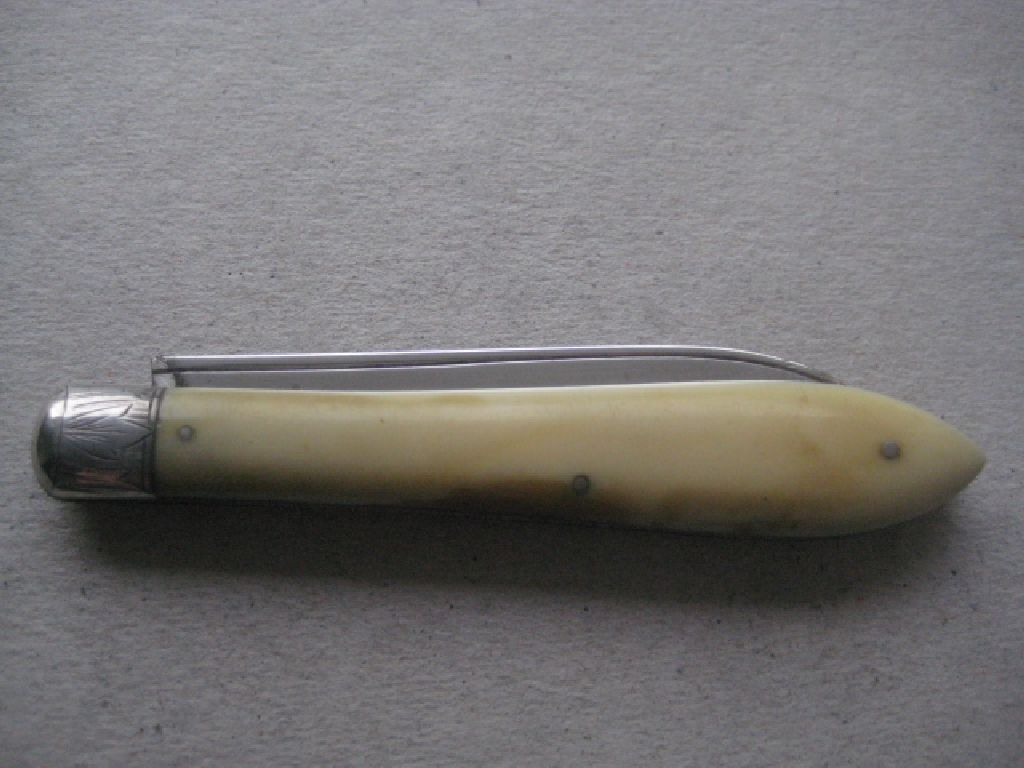Rare Victorian Silver Bladed Folding Fruit Knife, Sheffield 1882