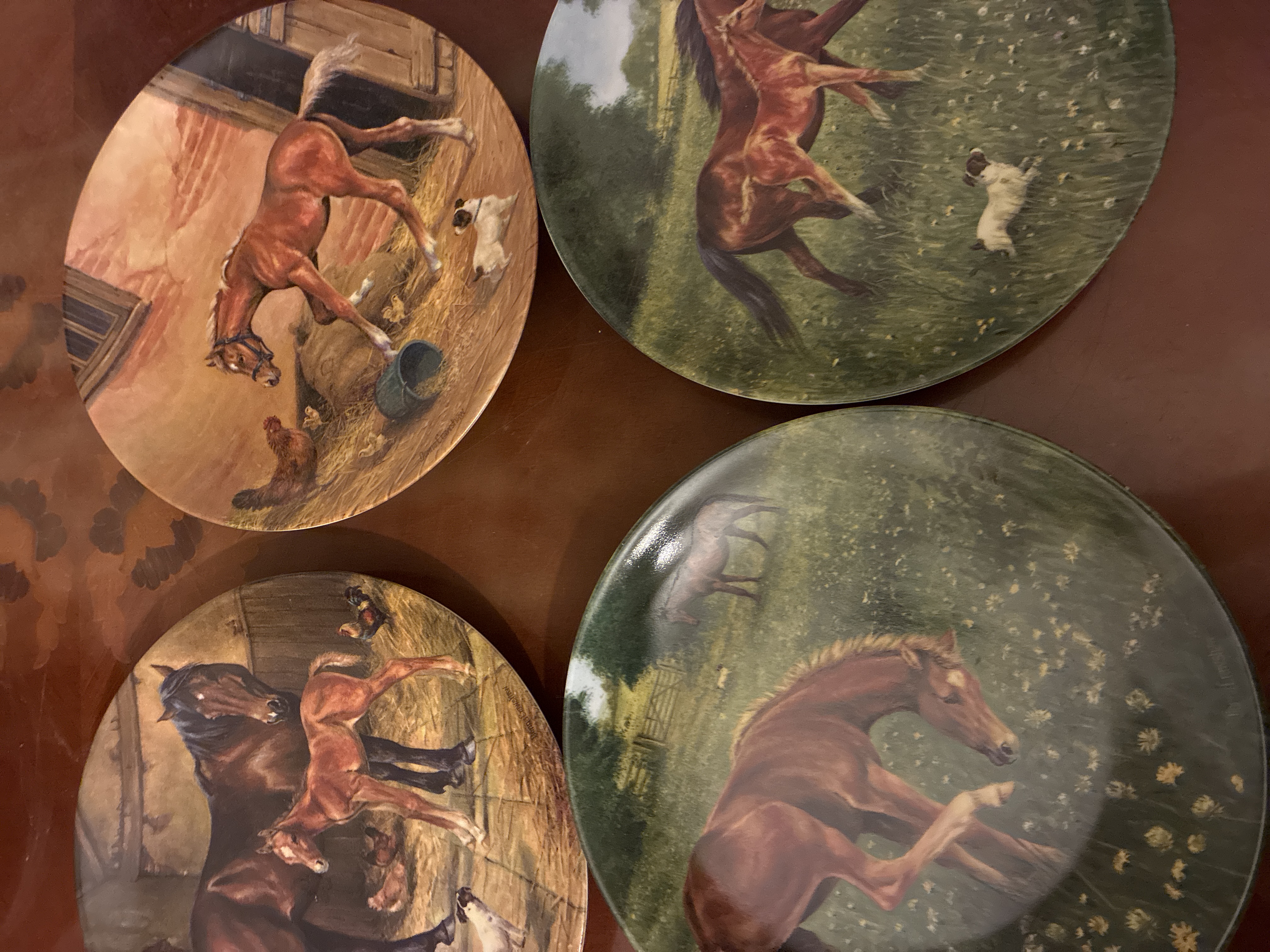 Royal Worcester Collectors Plates “Tomorrow’s Champion”