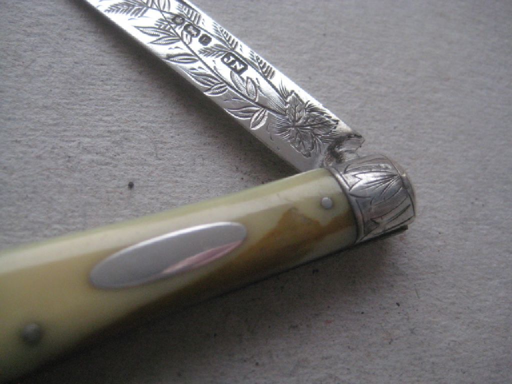 Rare Victorian Silver Bladed Folding Fruit Knife, Sheffield 1882