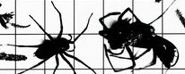 Gilbert & George (b 1943 & 42) ‘Deatho Knocko’ High-Quality Giclée Reproduction Custom Print, 2023