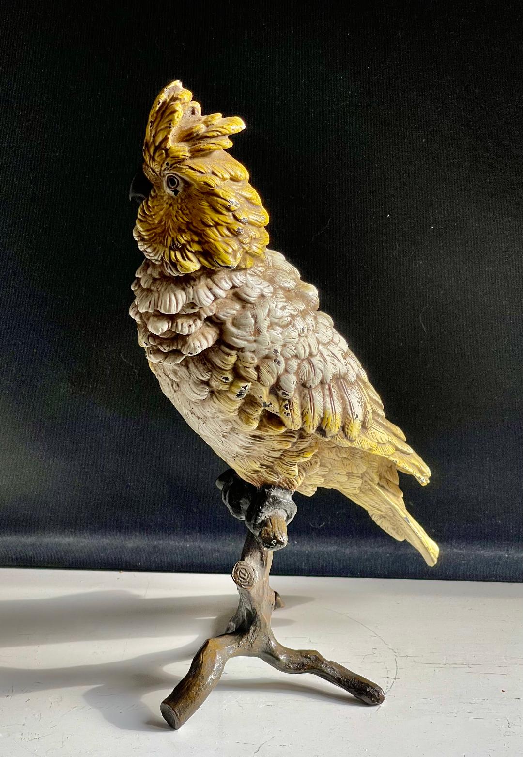Cold Painted Bronze Bergman Fogure of a Cockatoo
