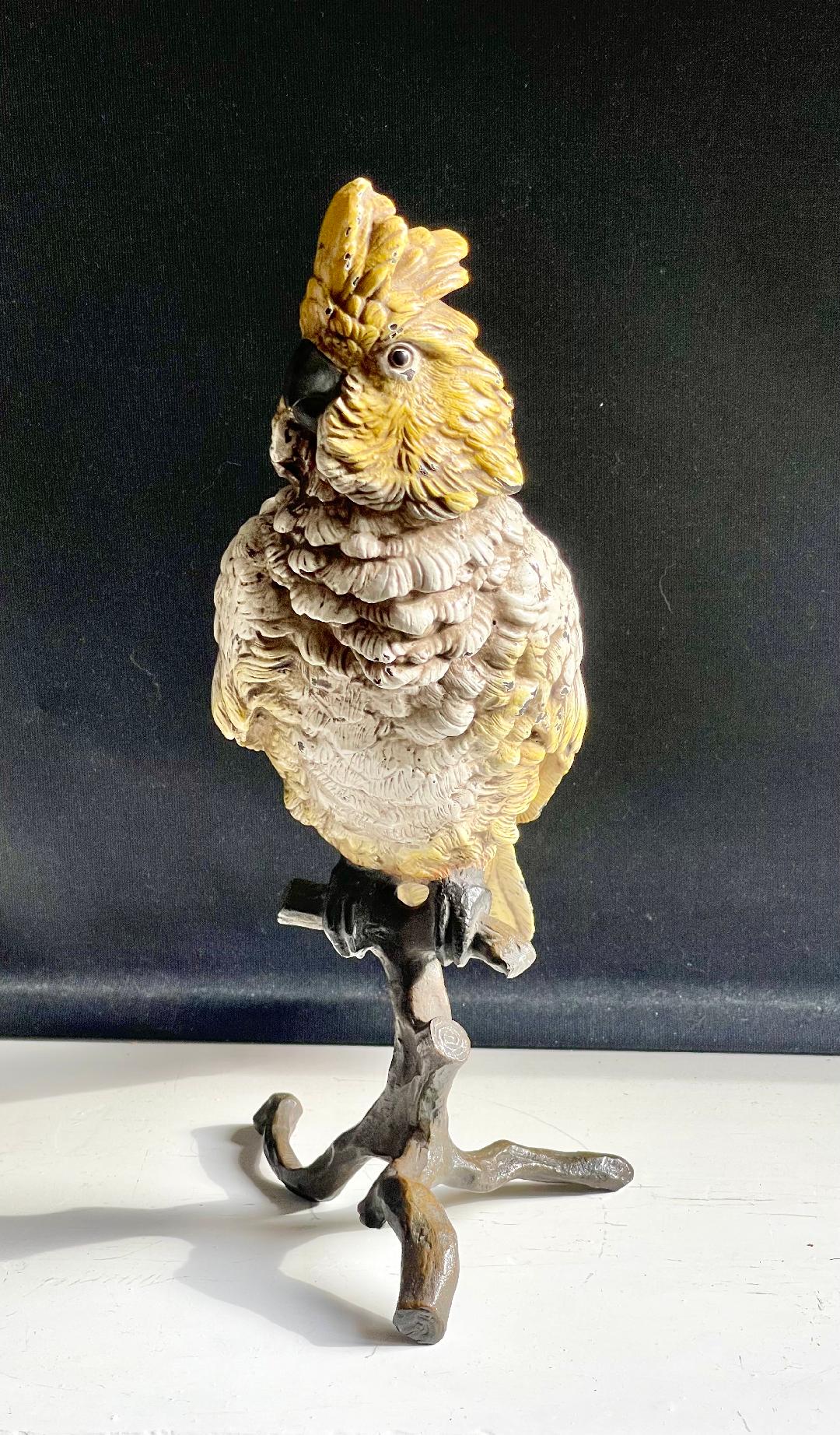 Cold Painted Bronze Bergman Fogure of a Cockatoo