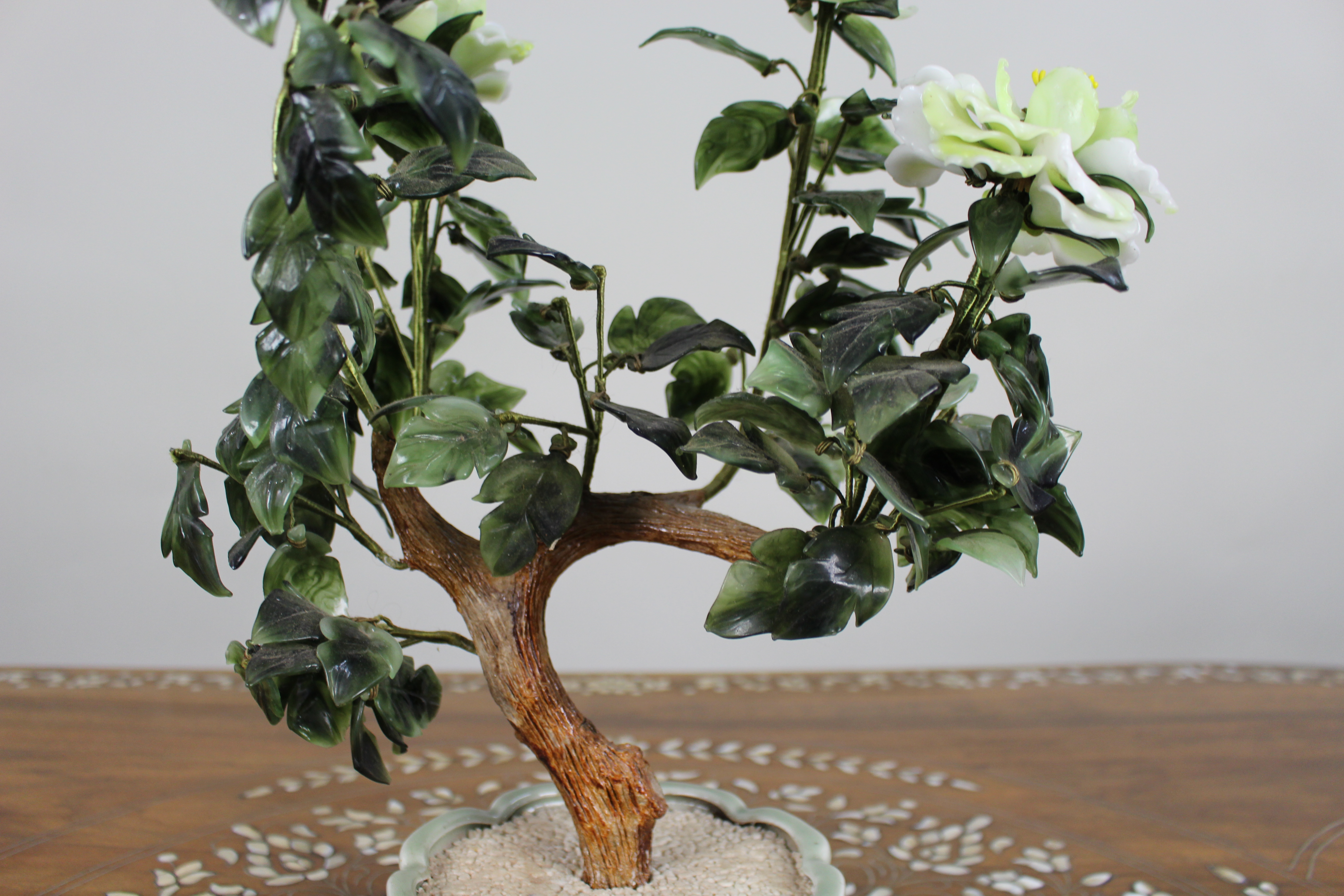 Jade Bonsai Plant