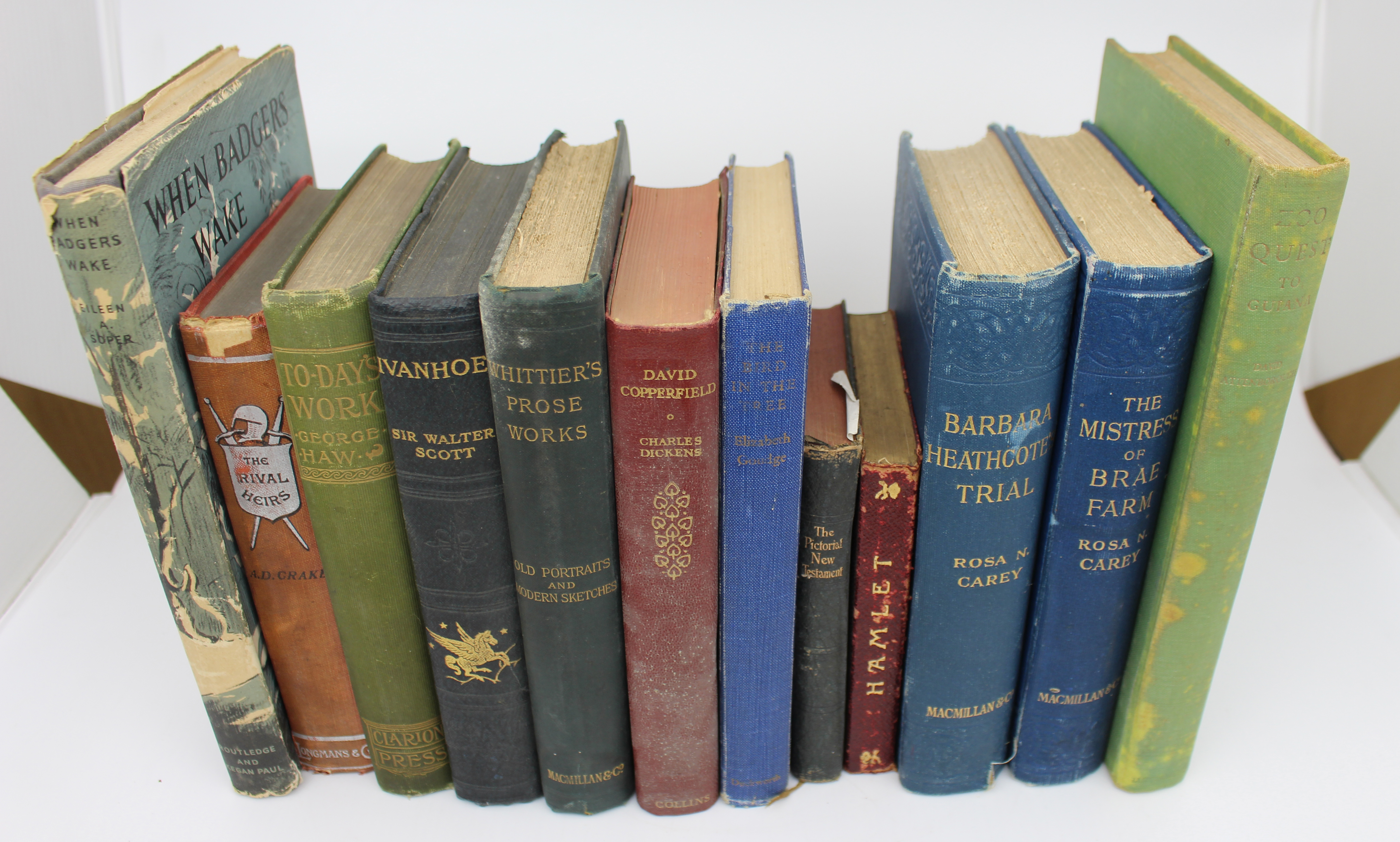 Mixed Lot of Antique and Vintage Books – Attenborough, Dickens, Scott, Carey & Others (12)