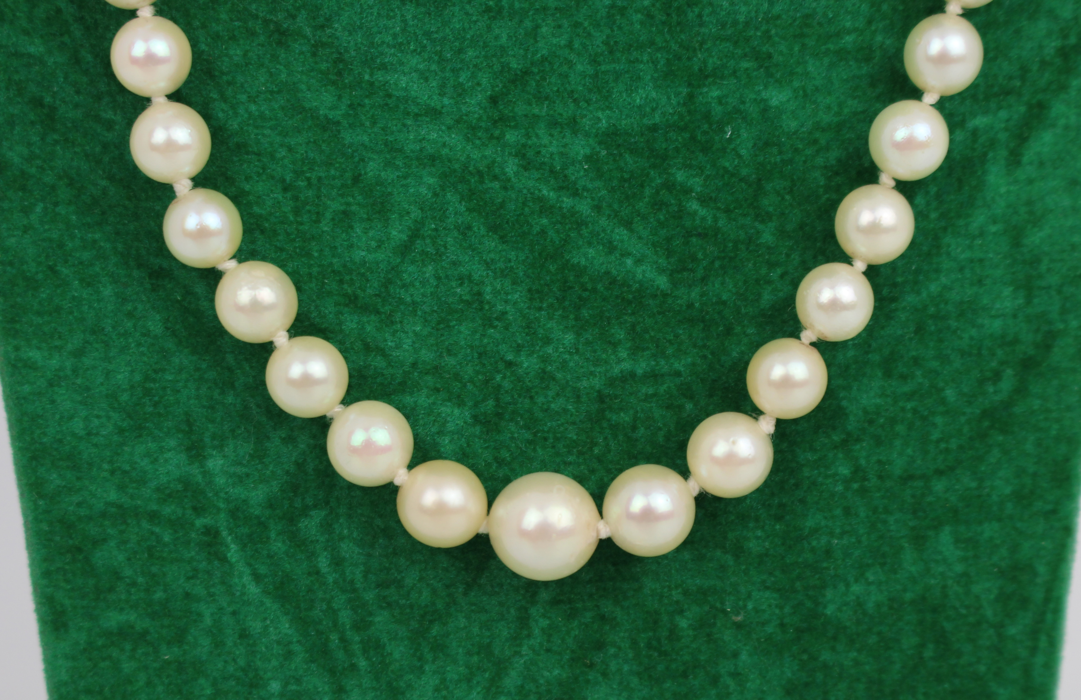 Cultured Pearl Necklace with 9ct Gold Clasp